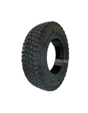 WDT P6076