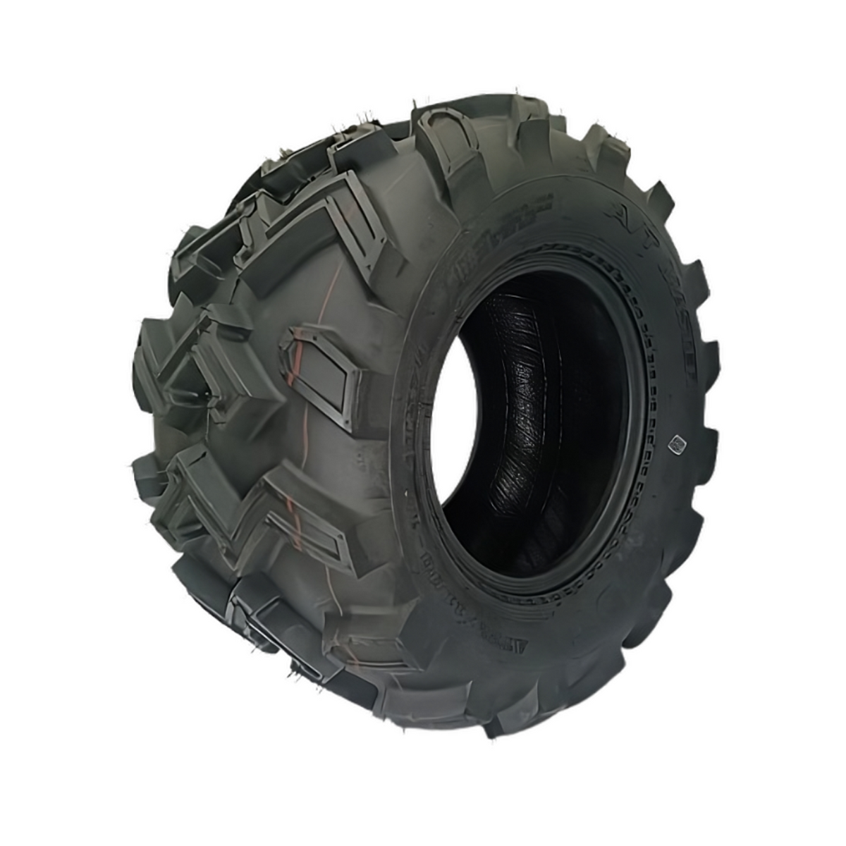 WDT P306 – MUEVEMOTO